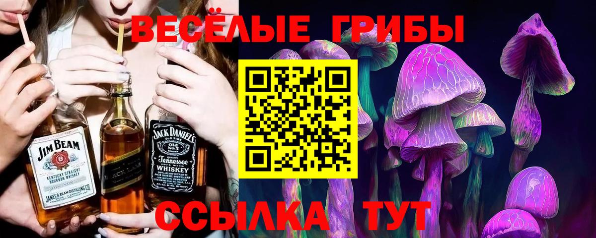 Сатка  Галлюциногенные грибы прущие грибы  Вход с VPN 