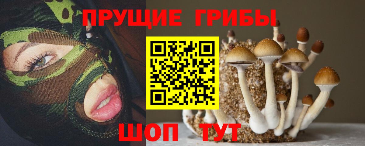 Галлюциногенные грибы MAGIC MUSHROOMS Сатка